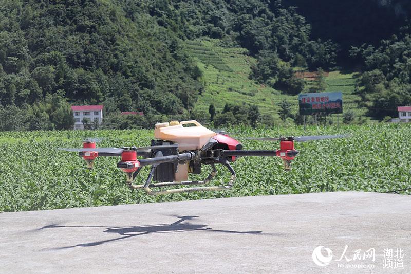 �o�˙C�w���������� �z��