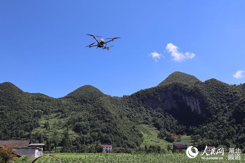 �o�˙C�w���������� �z��