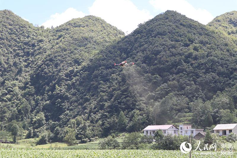 �o�˙C�w���������� �z��