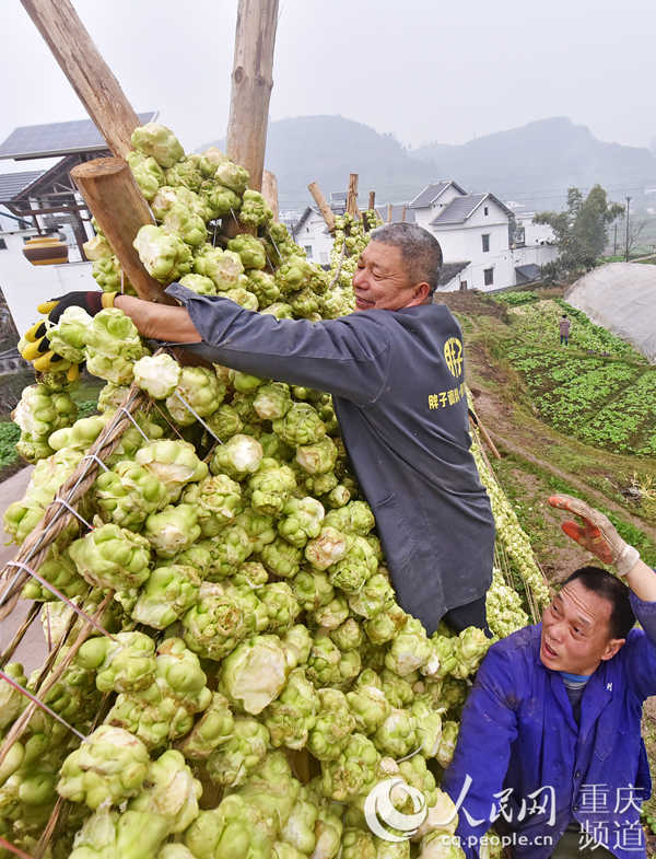 ɴ^ڲ˼LÓˮ־SӔz