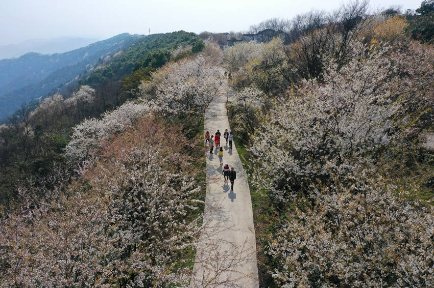 ڻgܴĚϢxz