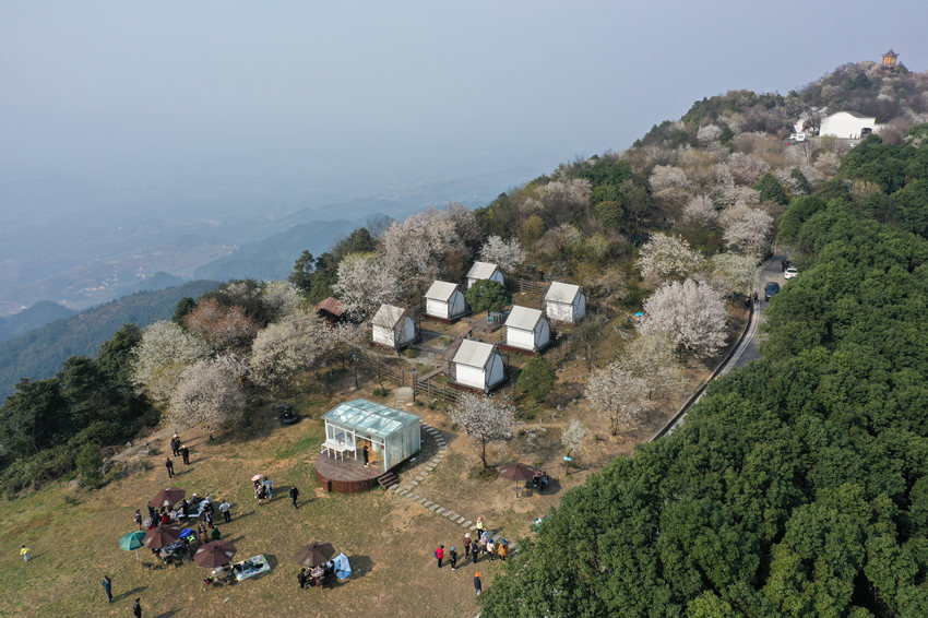 ڻgܴĚϢxz