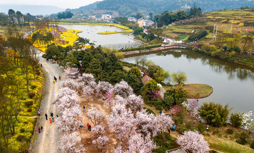 ���υ^�������l�����υ^���lһ�w�lչ���Ĺ��D