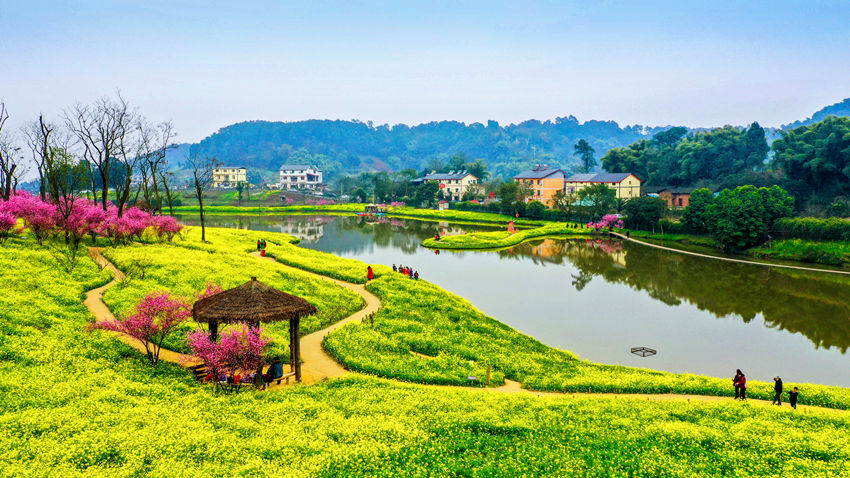 ���υ^�������l�����υ^���lһ�w�lչ���Ĺ��D