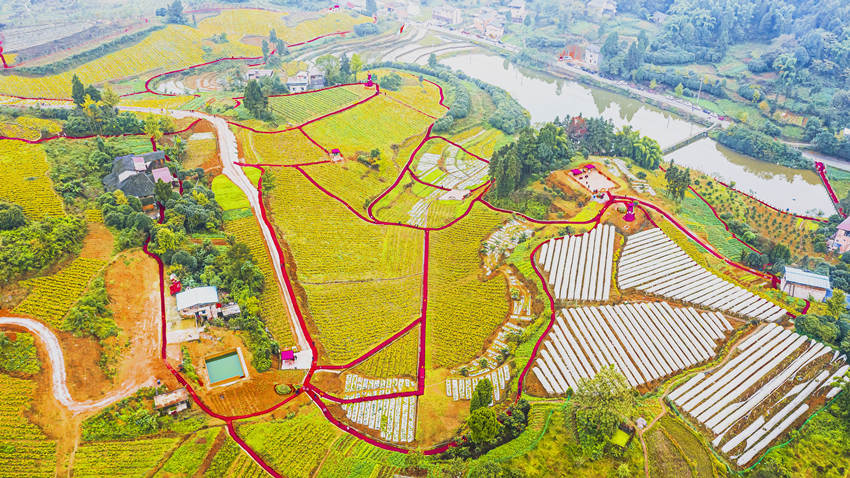 ���ϖ|��Ȫ��S���ִ������υ^���lһ�w�lչ���Ĺ��D