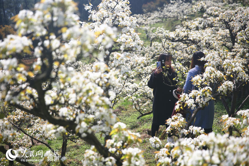 �������山�����ţƺ���滨��������������W �������z