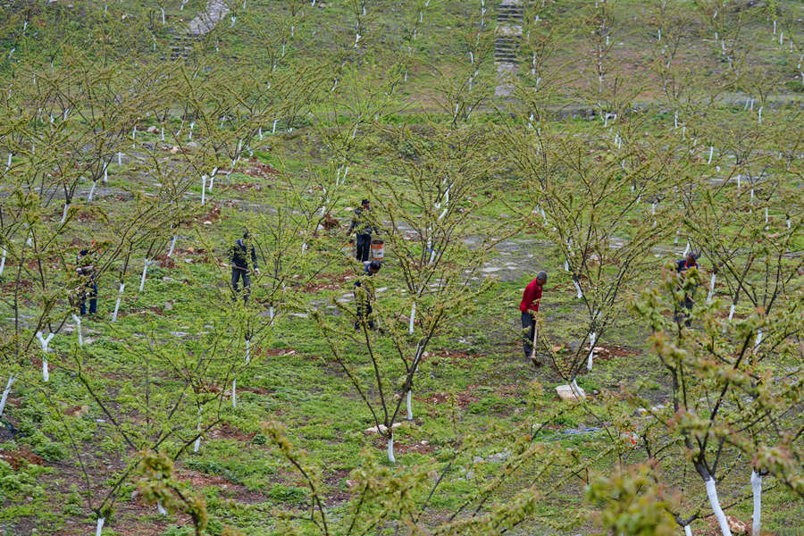 ؑcбՅ^o^AĵVɽ@͢z