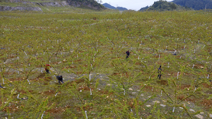 ؑcбՅ^o^AĵVɽ@͢z