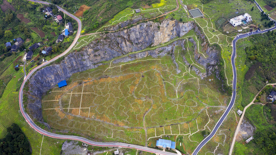 BޏͺؑcбՅ^o^AVɽ@͢z