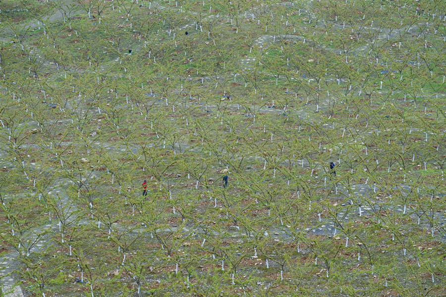 ؑcбՅ^o^AĵVɽ@͢z