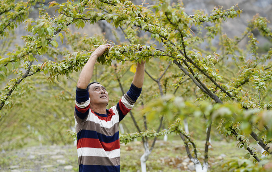 ؑcбՅ^o^AĵVɽ@͢z