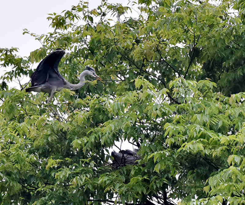 ��Ϣ���B�����S�Ӕz