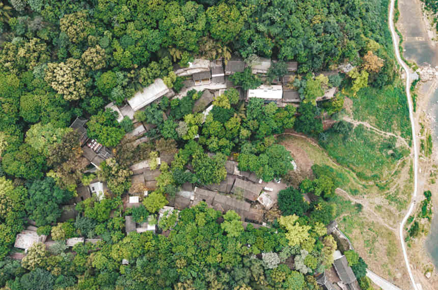 ���Ľ������vʷ�Ļ��օ^ȫ���������ؔz