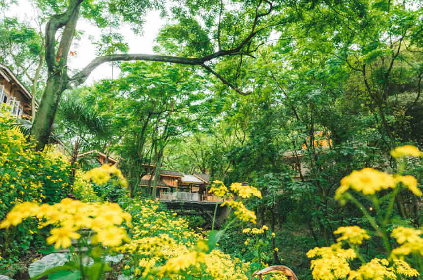 �������vʷ�Ļ��օ^�L���������ؔz