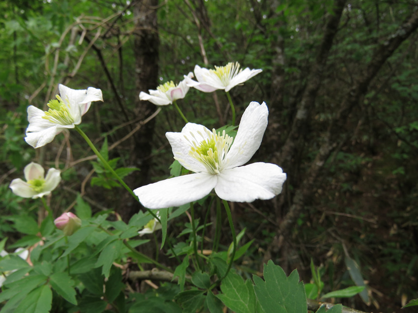 ؑclFֲNϪFɏHϪзֲؑcꎗlXҼȻo^ֹD