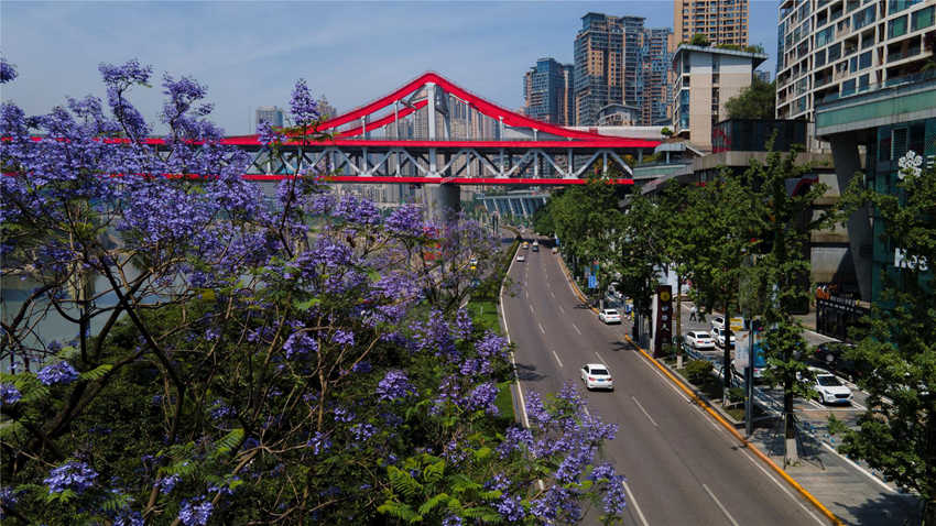 {ɫ{麺ͼtɫҎrӳȤֺz