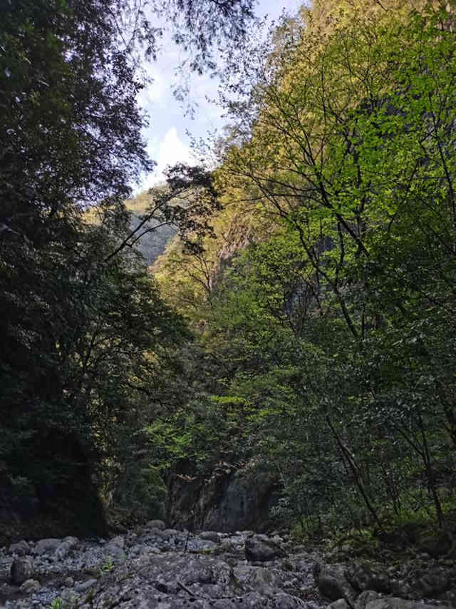 뻨ɼО{^ϡlΣֲؑcꎗlXҼȻo^ֹD