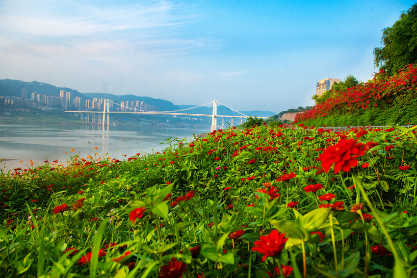 fݽ^ϞI@L䎧r`Gz