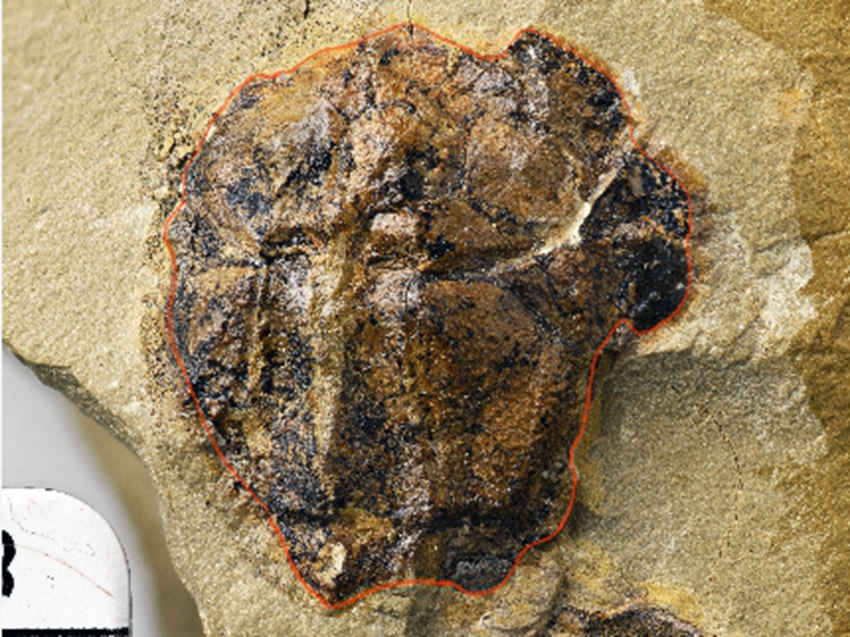 M~߅~ʯؑcҎȻYԴֹD