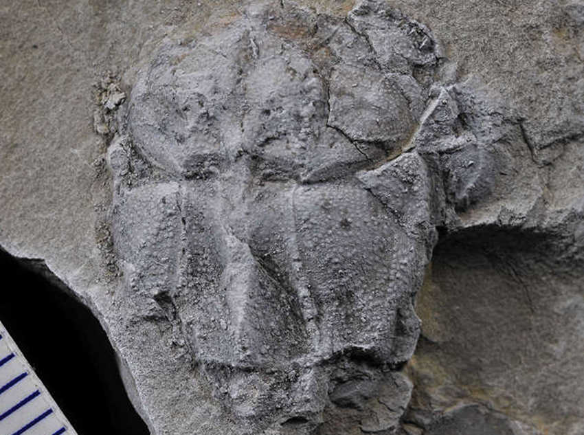 M~߅~ʯؑcҎȻYԴֹD