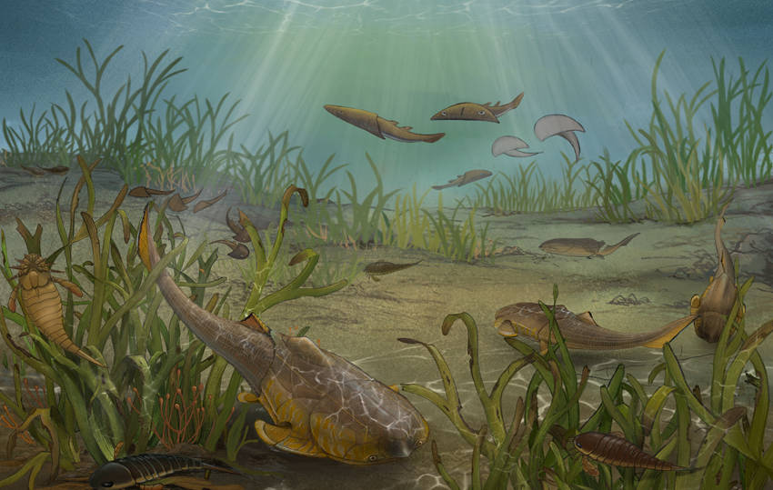 ŭhBģMDؑcҎȻYԴֹD