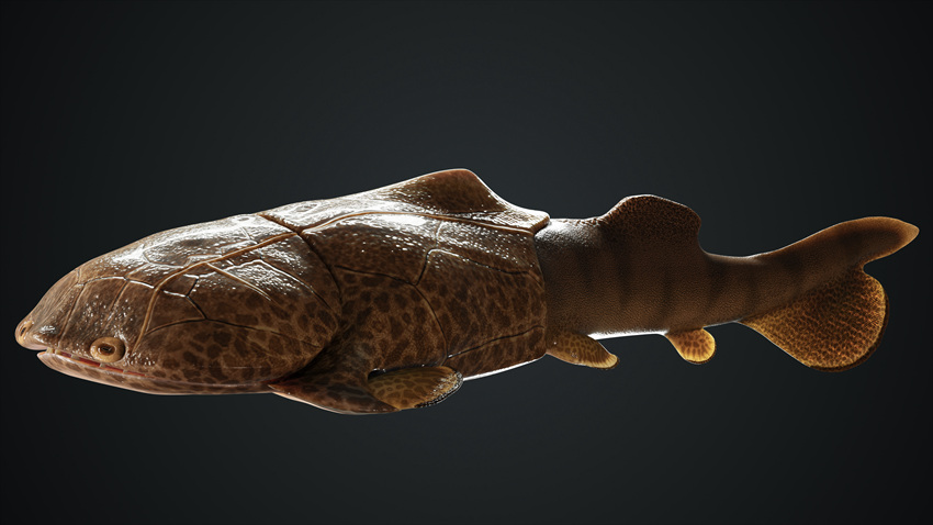 M~߅~ʯģؑcҎȻYԴֹD