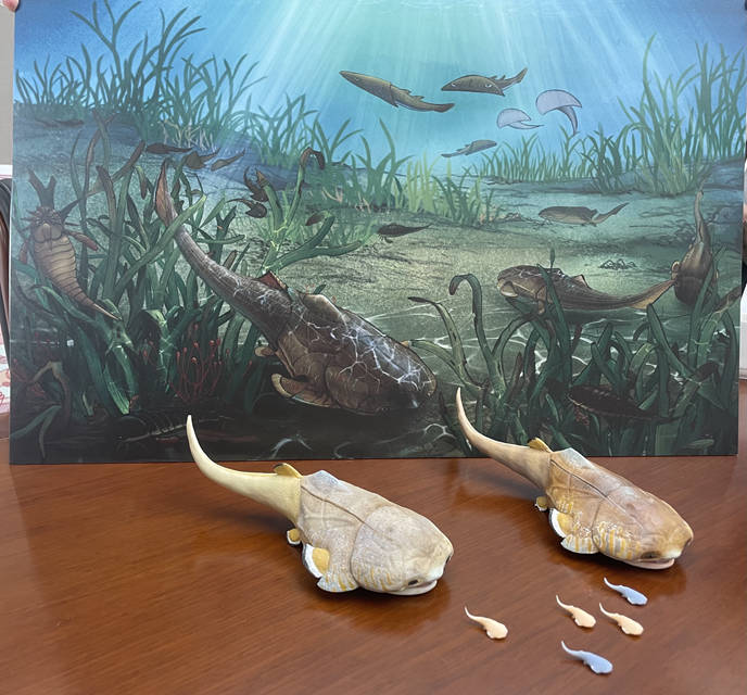 M~߅~ʯģؑcҎȻYԴֹD