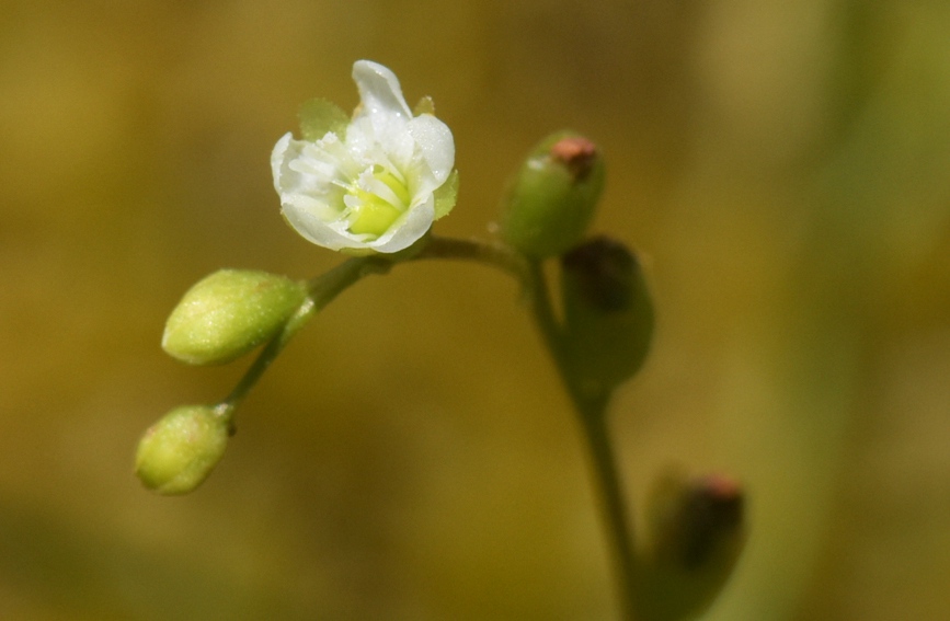 A~é˵ĻȫؑcҼȻo^̎D