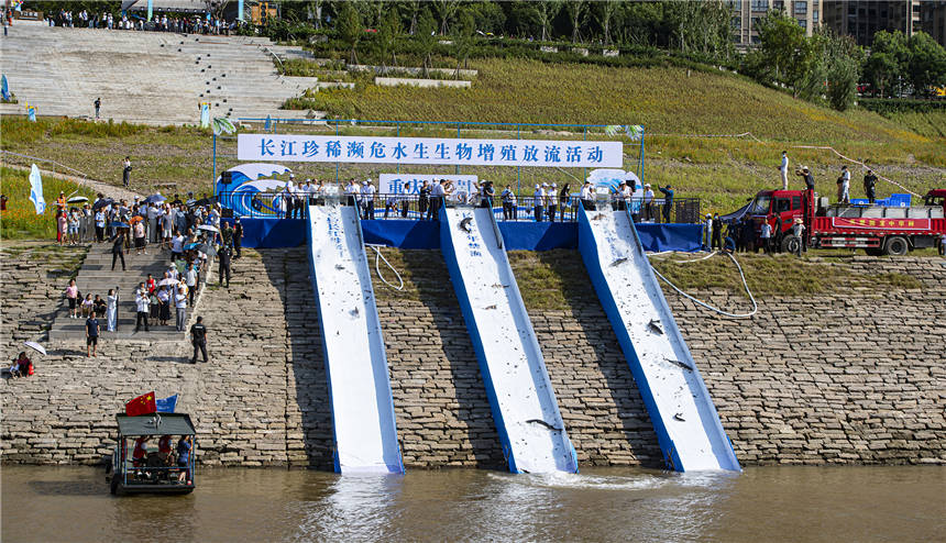 5fβA\L\֬~ȇcoˮҰﱻLȽ܊ z