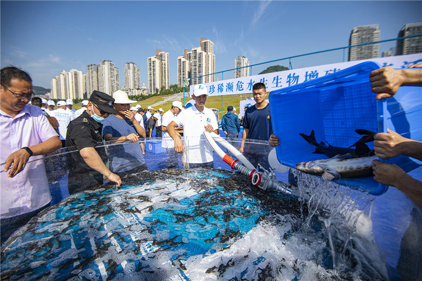 LϡlΣˮֳӬFȽ܊ z