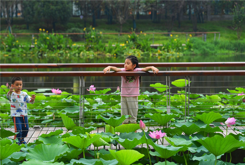 ɻ׌ͯԒ~do޵ͯȤ z