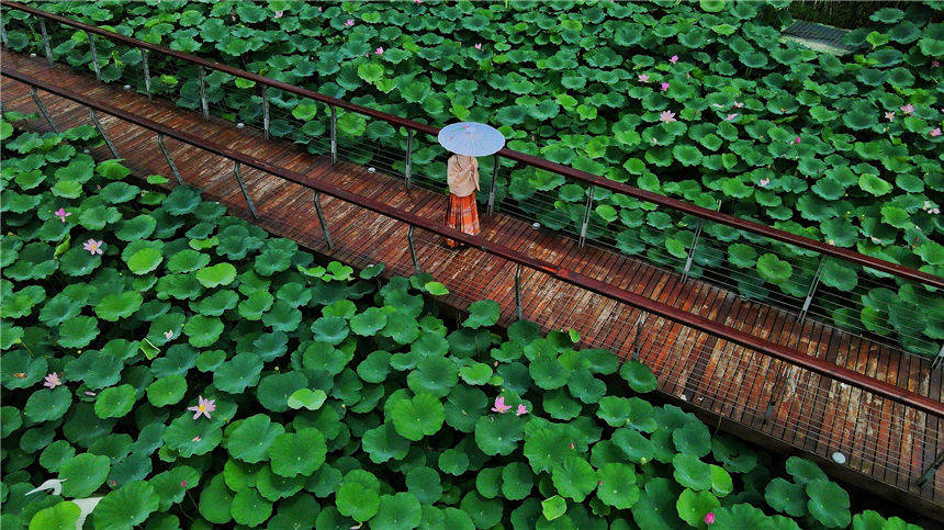 ĿиMغɻһˮī z