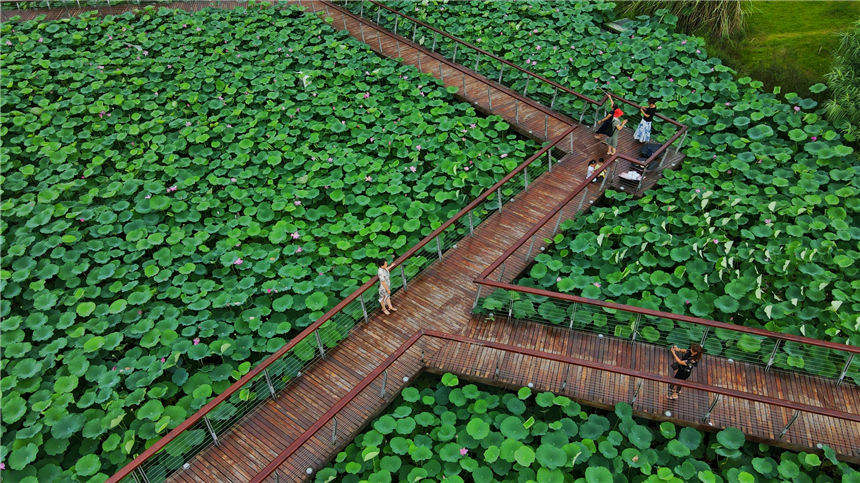 h̎ȥһӾGɫĻ̺ z