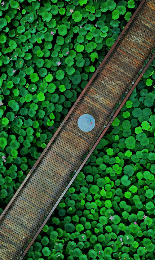 ĿиMغɻһˮī z