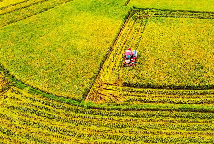 ոCډ|hɳƺ״gոˮLƔz