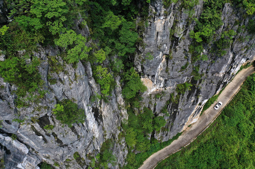 ܇ؑcǭ^pʯġڹ·z