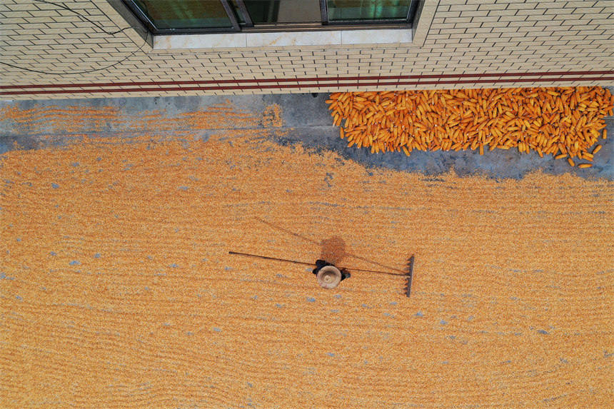 ؑcǭ^Ϫ悄ٵ^׵rz