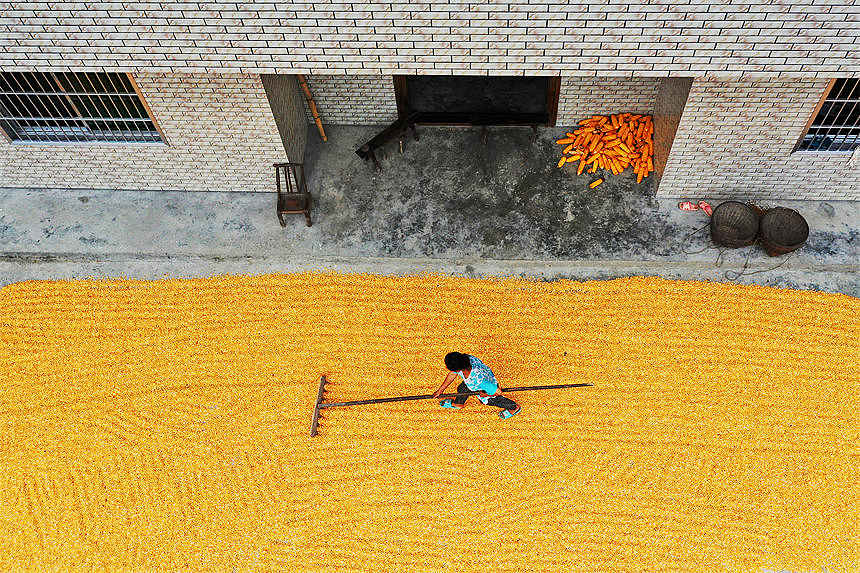 ؑcǭ^Ϫ悄ٵ^׵rz 