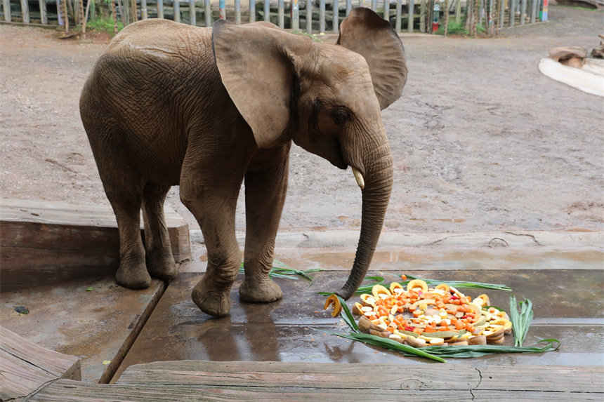 �����挦�����A��������U�����ɽܔz