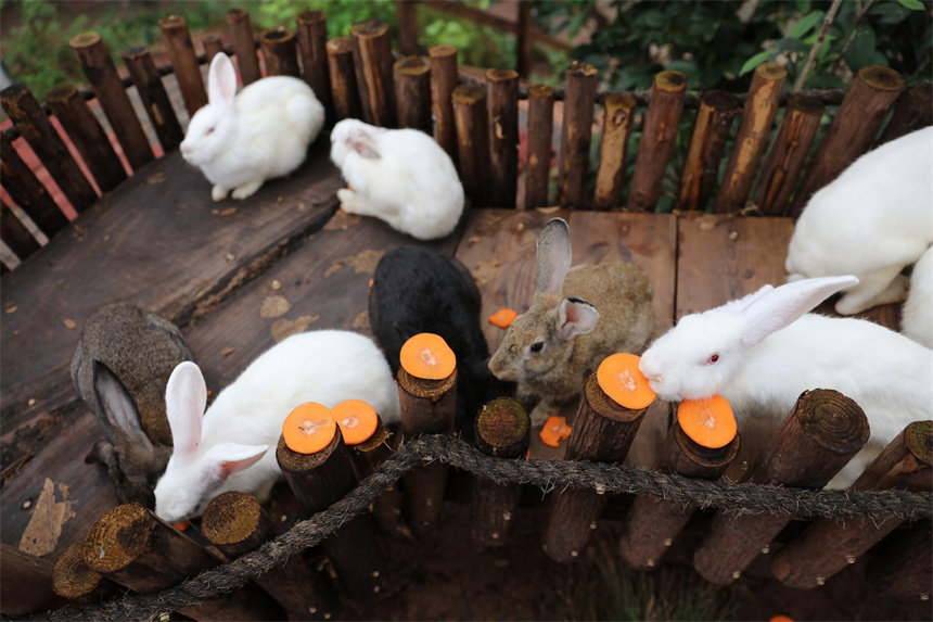 ��B�T��С����Ͷʳ���ӂ������ġ����}����������ɽܔz