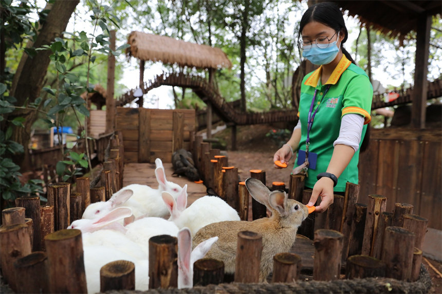 ��B�T��С����Ͷʳ���ӂ������ġ����}����������ɽܔz