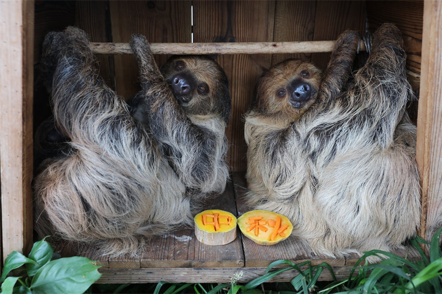 ��к������ġ���ʽ����_�ĺ�Ӱ�����ɽܔz