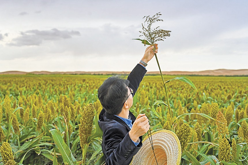 9��19�������ɹŞ��m����ɳĮ��ɳĮ����������ԇ���л����������ˆT�ڸ��������ռ�������