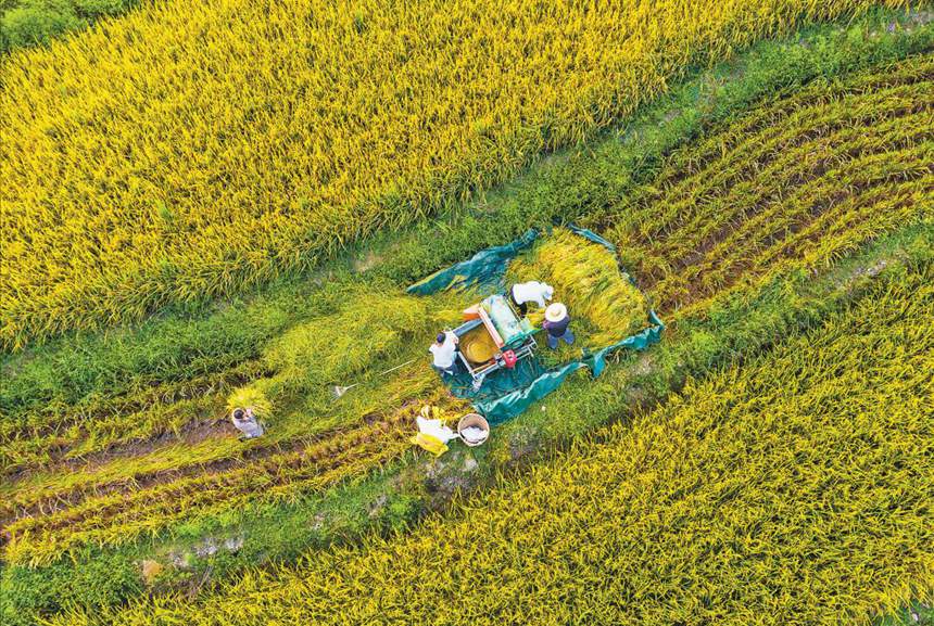 ĵSˡM 911ϴ^^}ոˮꐰȫ z