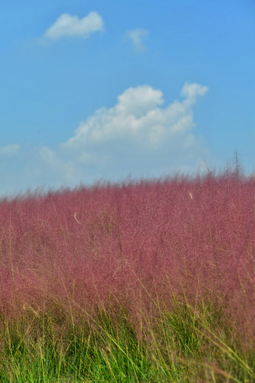 hhȥɫҰ߅Ĳϼ΢Lppuҷz