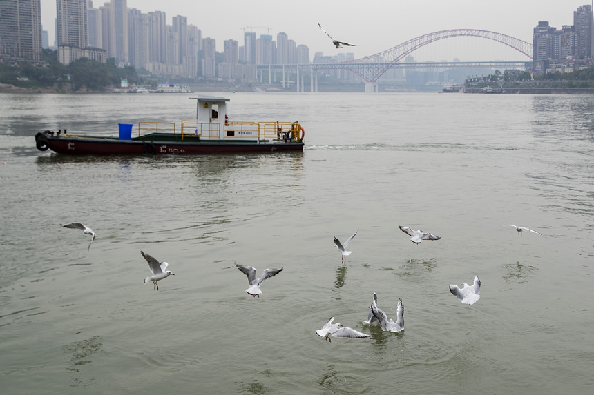 ؑcTɽR̎ӭttgz