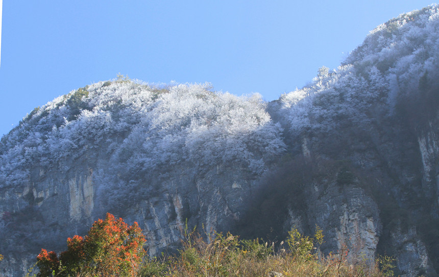 1110׍{֮pFFڡ^Rȑcz