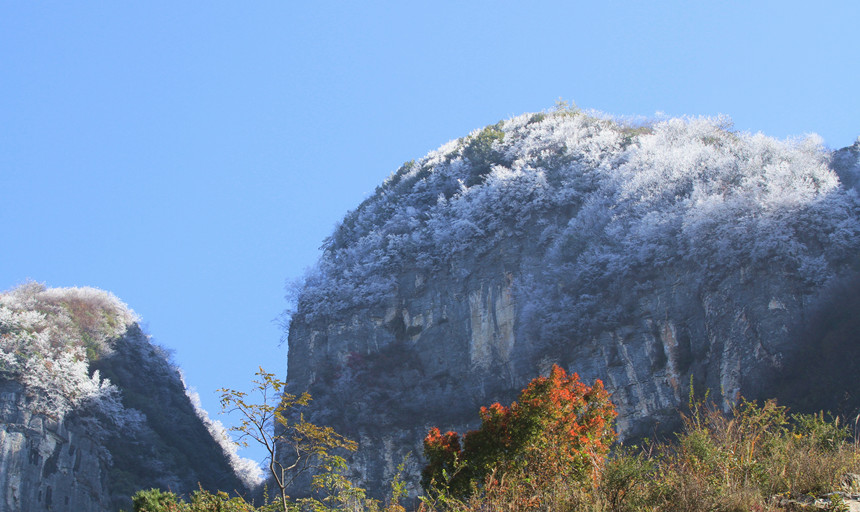 1110׍{֮pFFڡ^Rȑcz