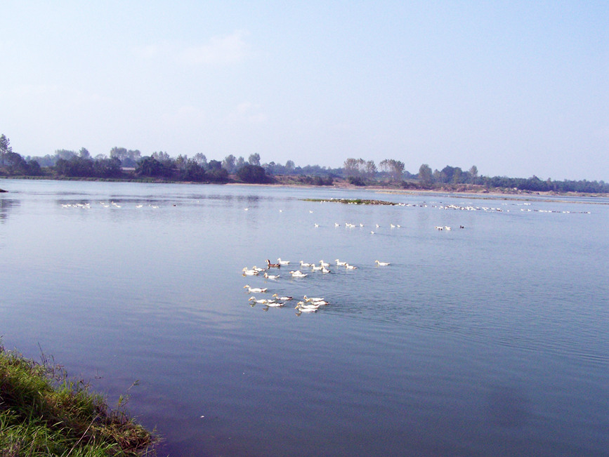 ؑcҝع@ؑc֘IֹD