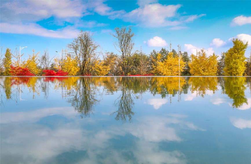 藍天彩林倒影水中，絕美如畫。武隆景區供圖